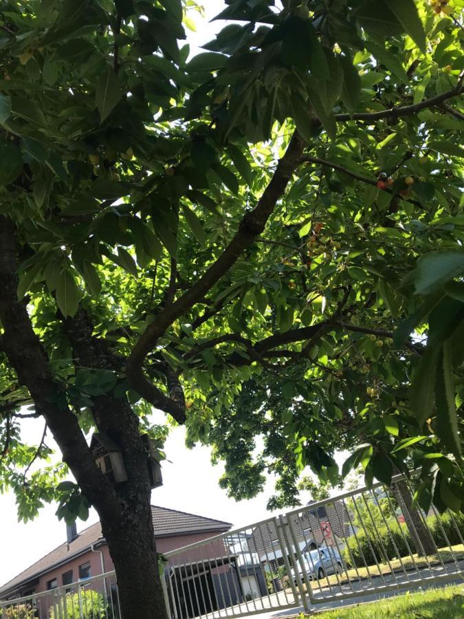 Ferienwohnung Am Weiltalradweg Weinbach Εξωτερικό φωτογραφία