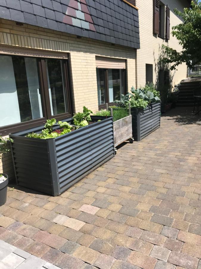 Ferienwohnung Am Weiltalradweg Weinbach Εξωτερικό φωτογραφία